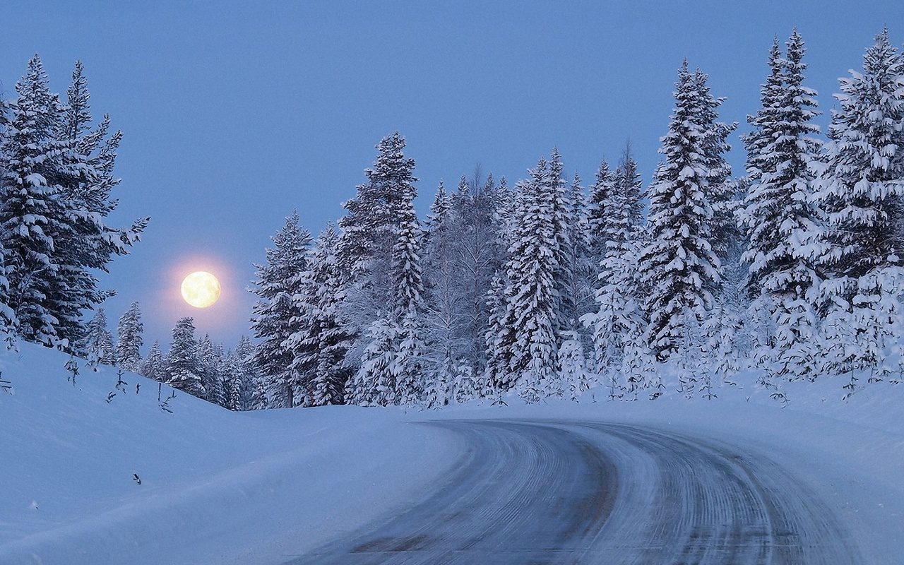 дорога снег лес зима загрузить