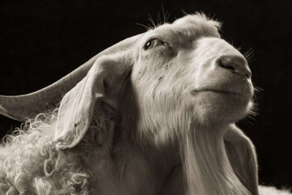 Оксана Сташенко: Жыныстық қатынасқа келгенде мен пысық емеспін.