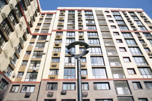 Пенис және бас