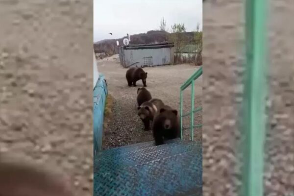 Көшеде жалаңаш 18